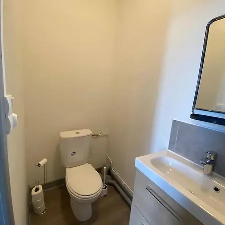 شقة Cosy Au Coeur De 15 M² Pres Des Thermes فيشي